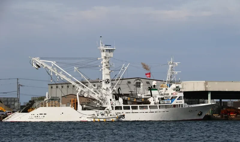 HAKKO MARU NO.2 General Cargo IMO 9326251 photo 8