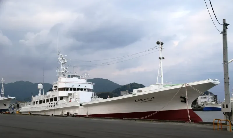 INARI MARU NO.85 General Cargo IMO 9326263 photo 9