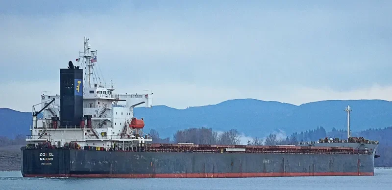 ZOI XL Bulk Carrier IMO 9326275 photo 7
