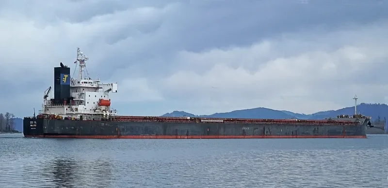 ZOI XL Bulk Carrier IMO 9326275 photo 8