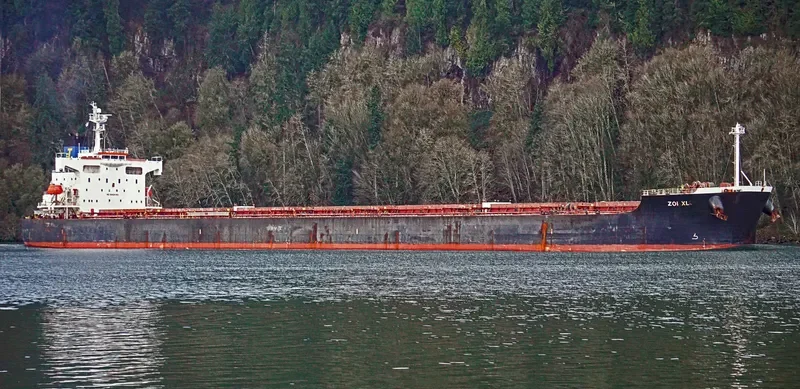 ZOI XL Bulk Carrier IMO 9326275 photo 9