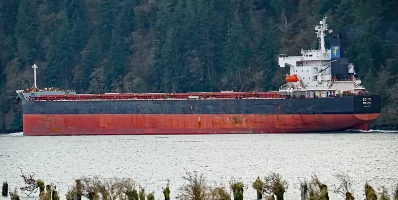ZOI XL Bulk Carrier IMO 9326275 photo 10