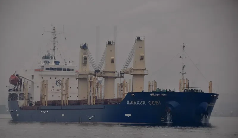 TRONA Bulk Carrier IMO 9326304 photo 6