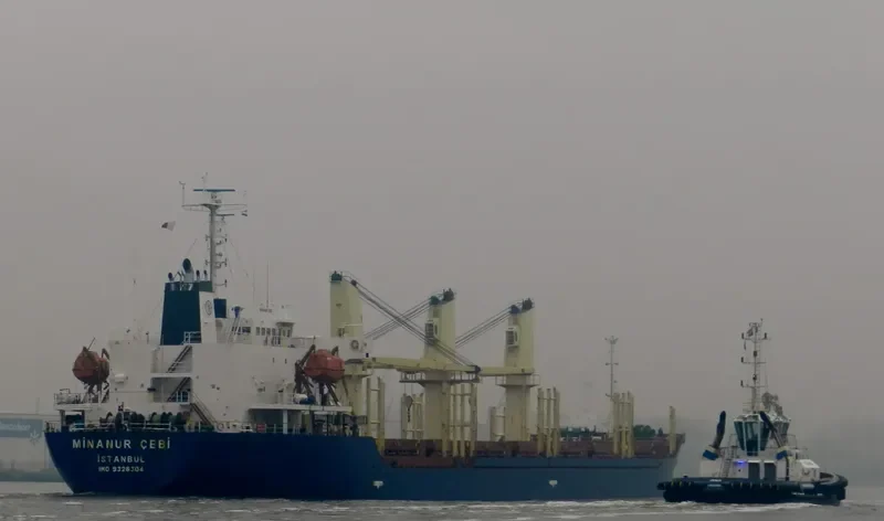 TRONA Bulk Carrier IMO 9326304 photo 9