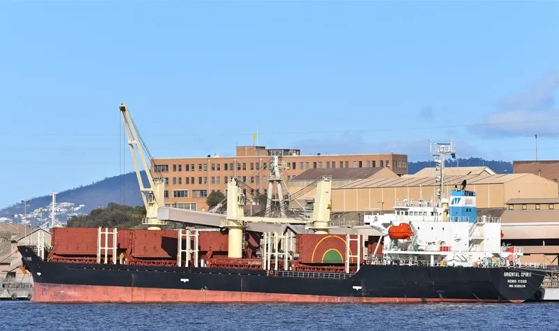 ORIENTAL SPIRIT Bulk Carrier IMO 9326316 photo 3