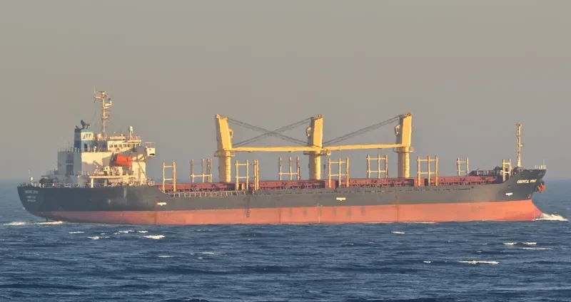 ORIENTAL SPIRIT Bulk Carrier IMO 9326316 photo 6