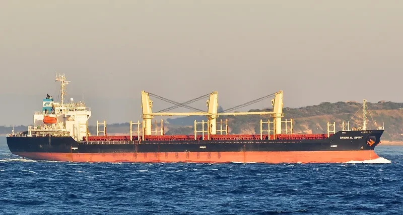 ORIENTAL SPIRIT Bulk Carrier IMO 9326316 photo 7
