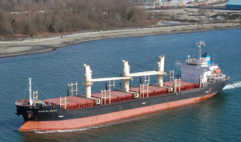 ORIENTAL SPIRIT Bulk Carrier IMO 9326316 photo 10