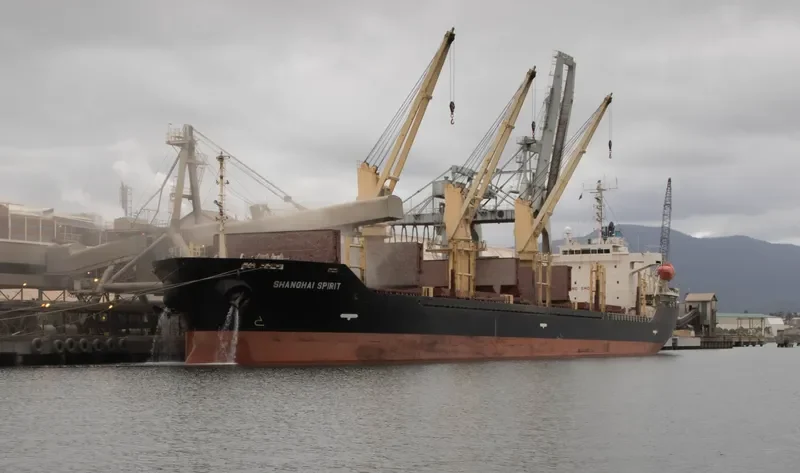 SHANGHAI SPIRIT Bulk Carrier IMO 9326328 photo 4