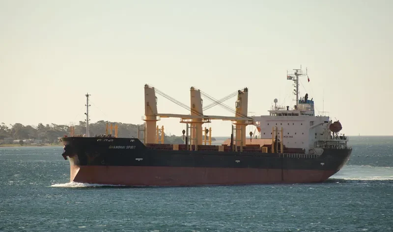 SHANGHAI SPIRIT Bulk Carrier IMO 9326328 photo 8