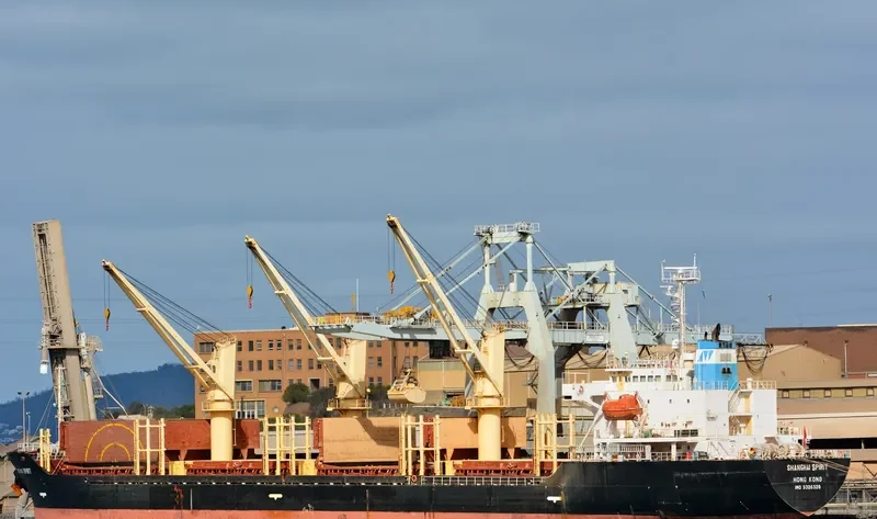 SHANGHAI SPIRIT Bulk Carrier IMO 9326328 photo 9