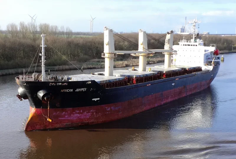 AFRICAN JUNIPER Bulk Carrier IMO 9326330 photo 2