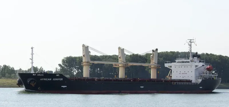 AFRICAN JUNIPER Bulk Carrier IMO 9326330 photo 3