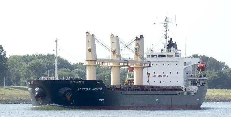 AFRICAN JUNIPER Bulk Carrier IMO 9326330 photo 4