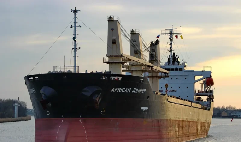 AFRICAN JUNIPER Bulk Carrier IMO 9326330 photo 5