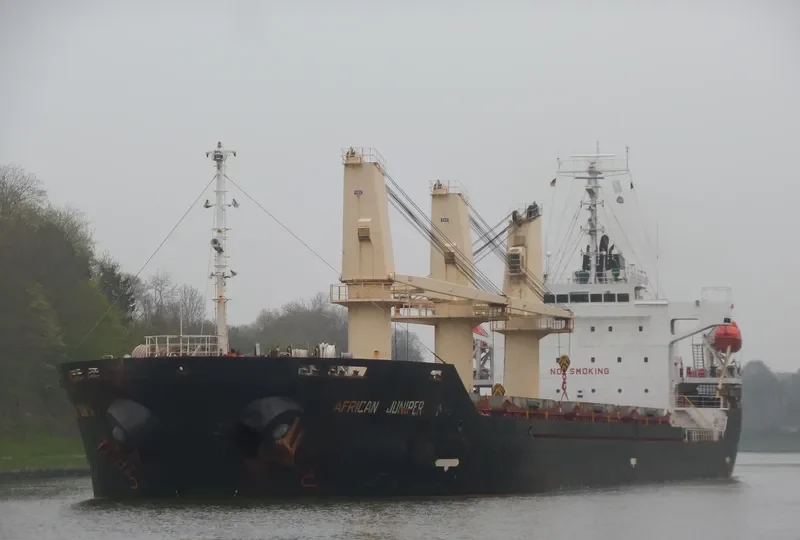 AFRICAN JUNIPER Bulk Carrier IMO 9326330 photo 6