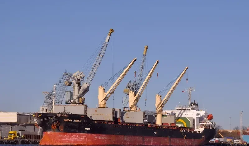 AFRICAN JUNIPER Bulk Carrier IMO 9326330 photo 7