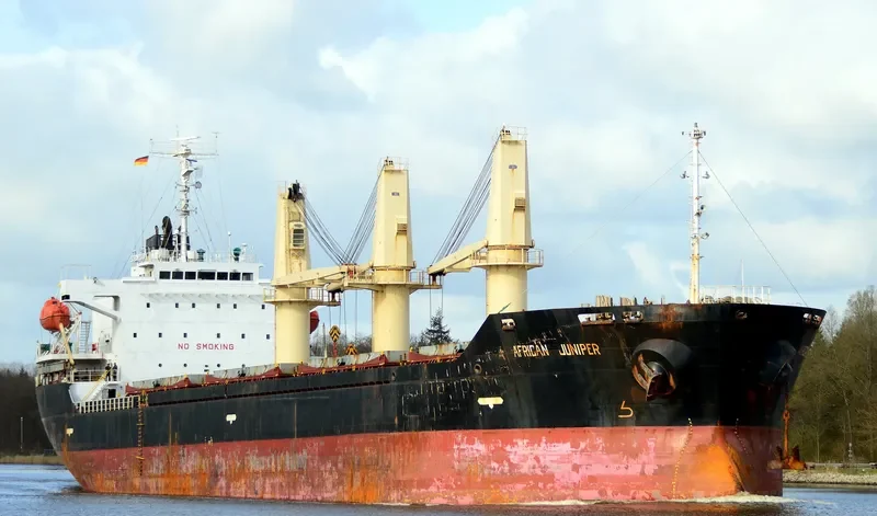 AFRICAN JUNIPER Bulk Carrier IMO 9326330 photo 8