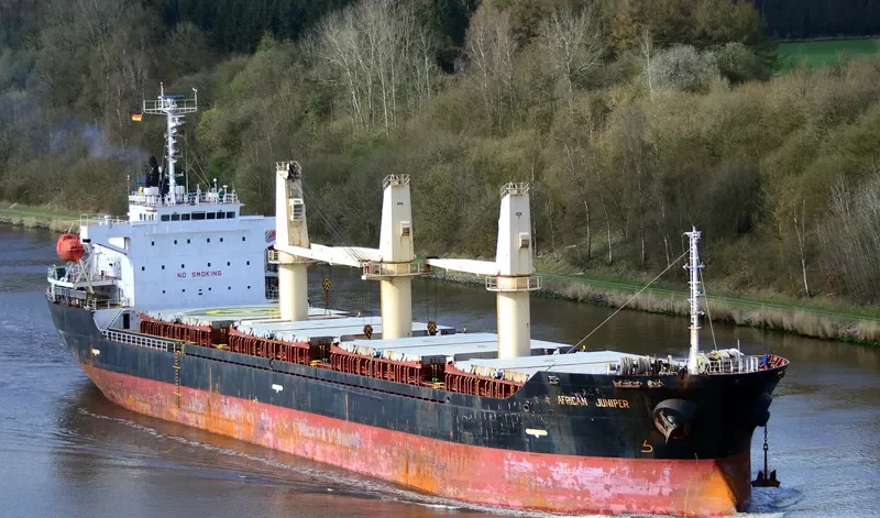 AFRICAN JUNIPER Bulk Carrier IMO 9326330 photo 9