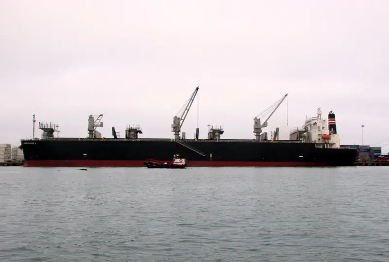 UNI GLORY Bulk Carrier IMO 9326366 photo 2