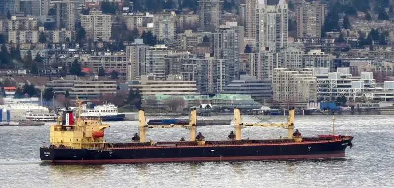 DUBAI CROWN Bulk Carrier IMO 9326378