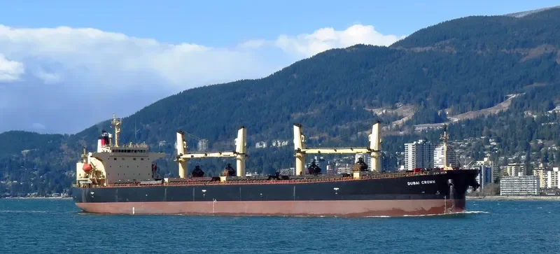 DUBAI CROWN Bulk Carrier IMO 9326378 photo 2