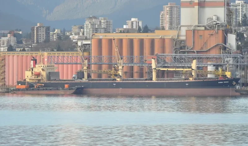 DUBAI CROWN Bulk Carrier IMO 9326378 photo 3
