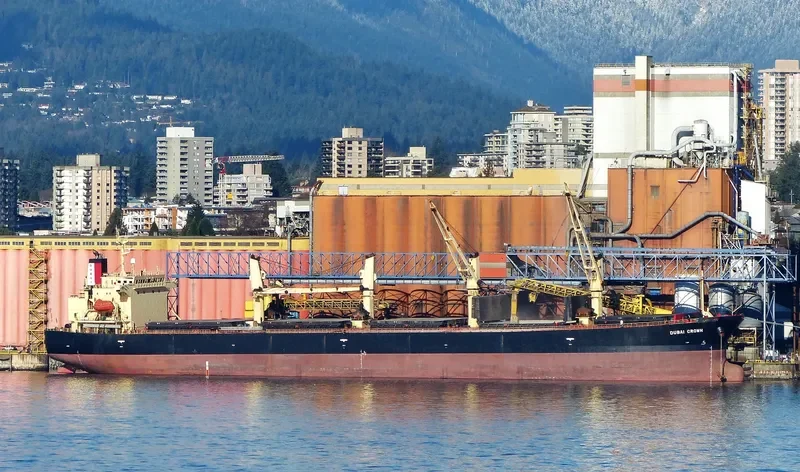 DUBAI CROWN Bulk Carrier IMO 9326378 photo 4
