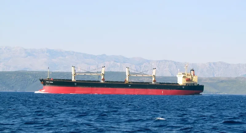 DUBAI CROWN Bulk Carrier IMO 9326378 photo 6