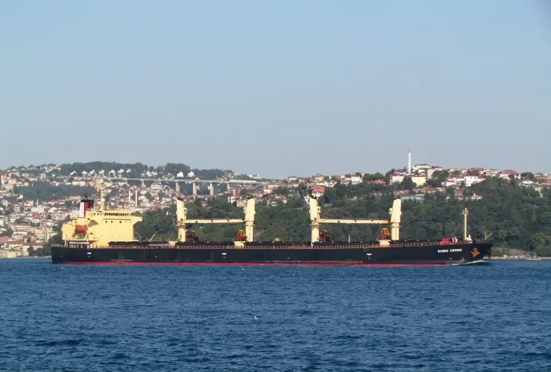 DUBAI CROWN Bulk Carrier IMO 9326378 photo 10