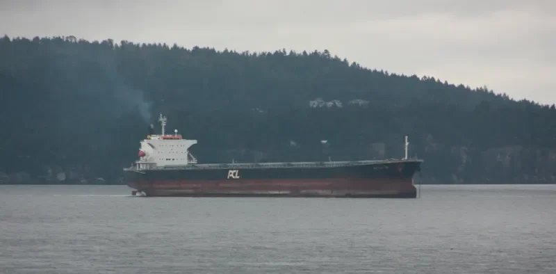 NAVIOS GALILEO Bulk Carrier IMO 9326536 photo 9