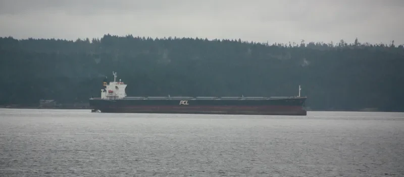 NAVIOS GALILEO Bulk Carrier IMO 9326536 photo 10
