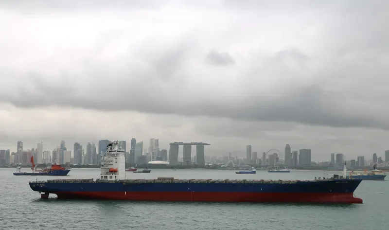 NORTH BRIDGE Container Ship IMO 9326768 photo 4