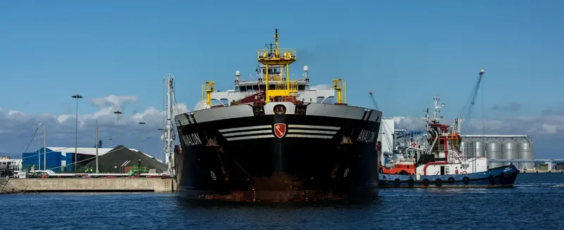 AVALON Tanker IMO 9327097 photo 2