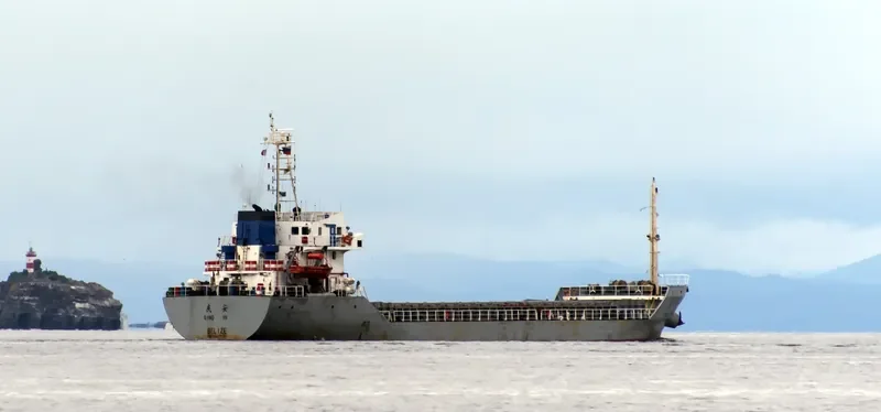 QING AN Bulk Carrier IMO 9327126 photo 4