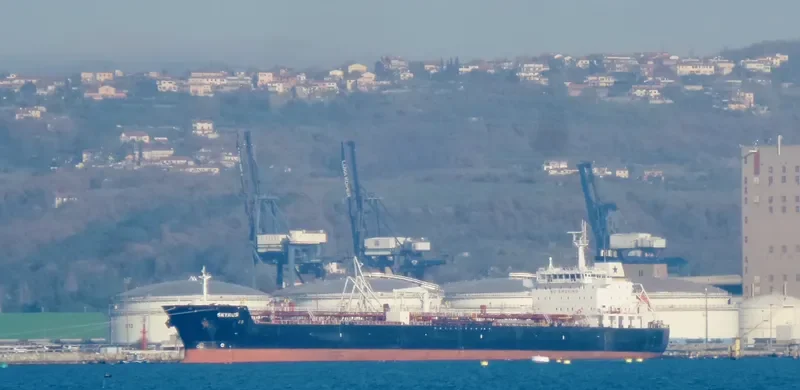 WONDER FORMOSA Tanker IMO 9327425 photo 8