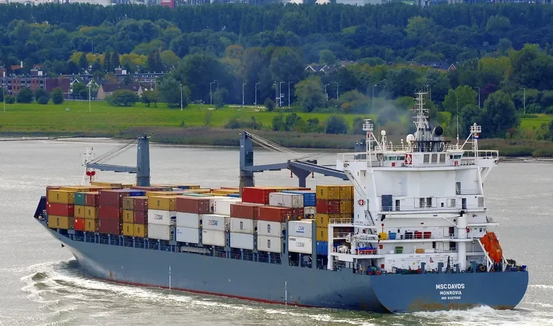 LOG IN RESILIENTE Container Ship IMO 9327669