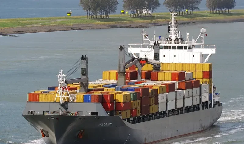 LOG IN RESILIENTE Container Ship IMO 9327669 photo 3