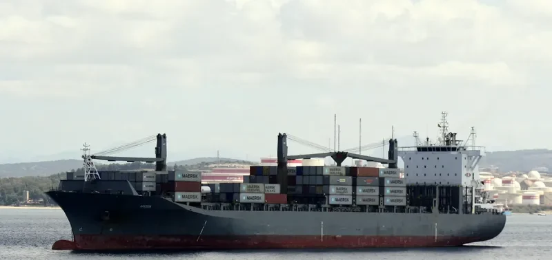 LOG IN RESILIENTE Container Ship IMO 9327669 photo 4