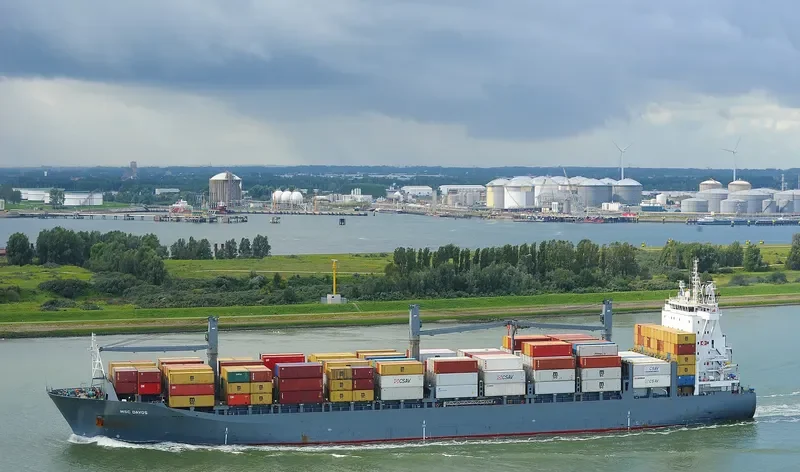 LOG IN RESILIENTE Container Ship IMO 9327669 photo 5