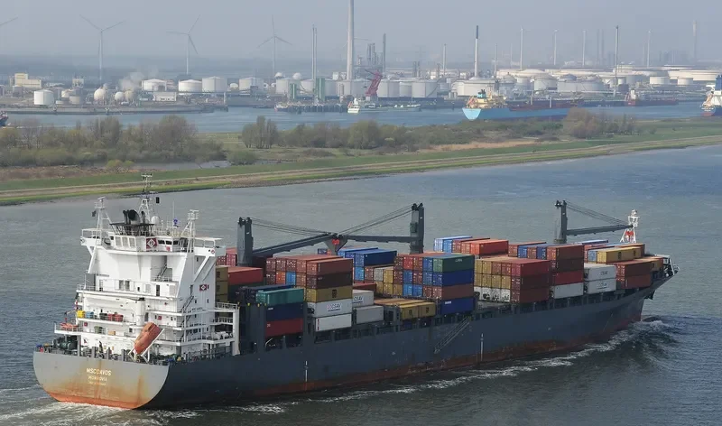 LOG IN RESILIENTE Container Ship IMO 9327669 photo 6