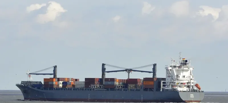 LOG IN RESILIENTE Container Ship IMO 9327669 photo 7