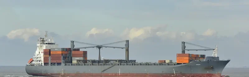 LOG IN RESILIENTE Container Ship IMO 9327669 photo 10