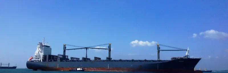 ARIANA Container Ship IMO 9327671 photo 4
