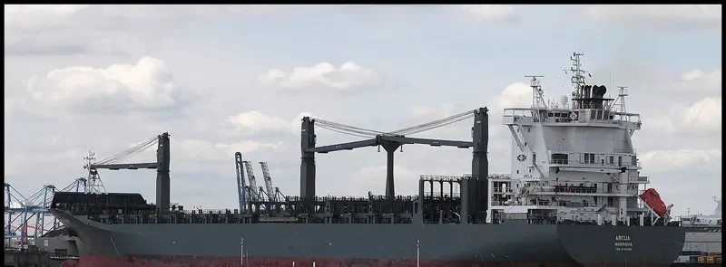 X PRESS MAKALU Container Ship IMO 9327683 photo 4