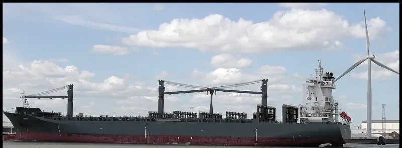 X PRESS MAKALU Container Ship IMO 9327683 photo 5
