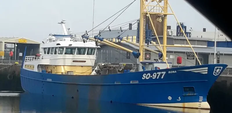 RONA General Cargo IMO 9327712 photo 4