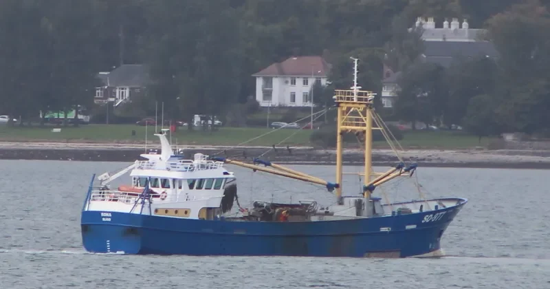 RONA General Cargo IMO 9327712 photo 5