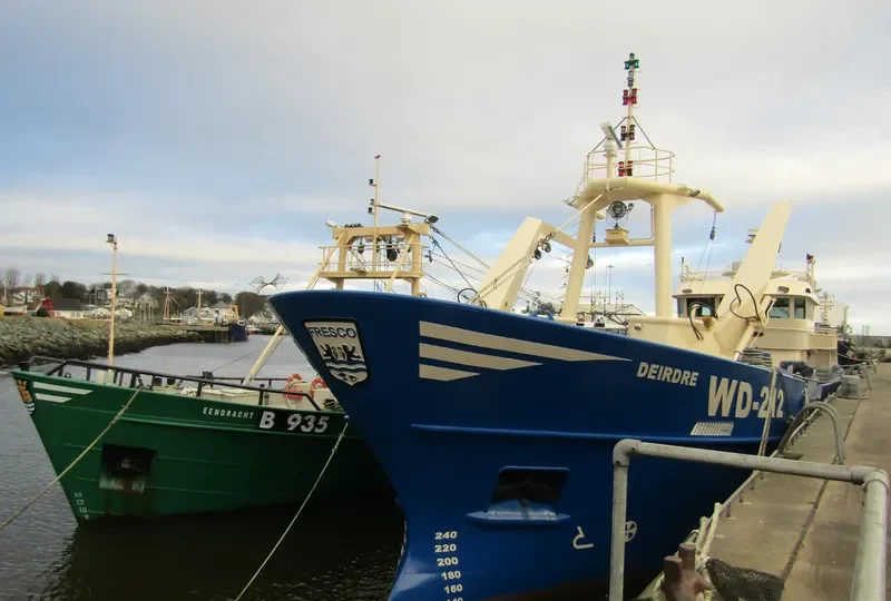 DEIRDRE General Cargo IMO 9327724 photo 2