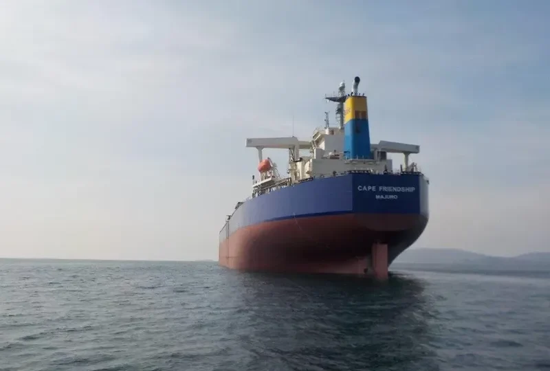 CAPE FRIENDSHIP Bulk Carrier IMO 9327736 photo 4